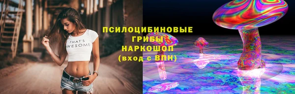 дурь Алексеевка