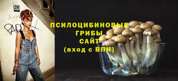 ГАЛЛЮЦИНОГЕННЫЕ ГРИБЫ Аркадак
