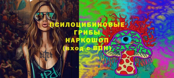 прущий лед Алексин