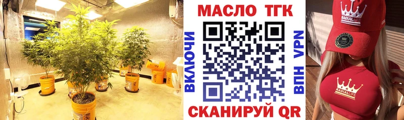ТГК THC oil  Чадан 