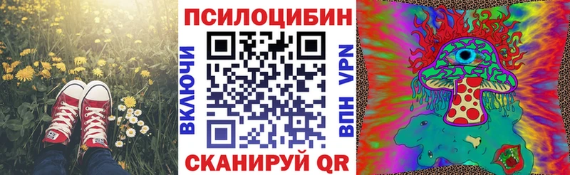 Галлюциногенные грибы ЛСД  дарнет шоп  blacksprut ссылки  Чадан 